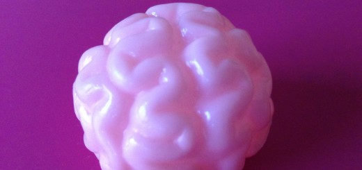 Imagen de un cerebro de plástico